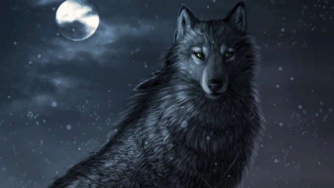 lobo-negro.jpg