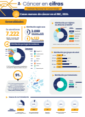 Infografía Anuario estadístico INC