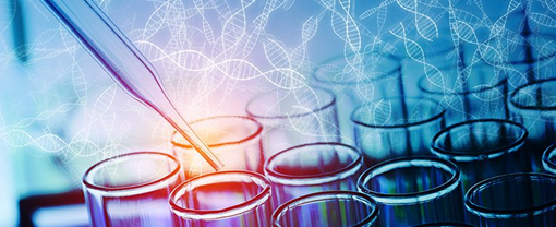 Grupo de Investigación en Biología del Cáncer 