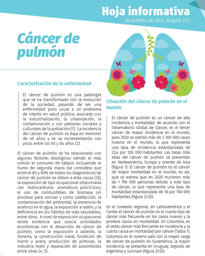 Hoja informativa Pulmón 