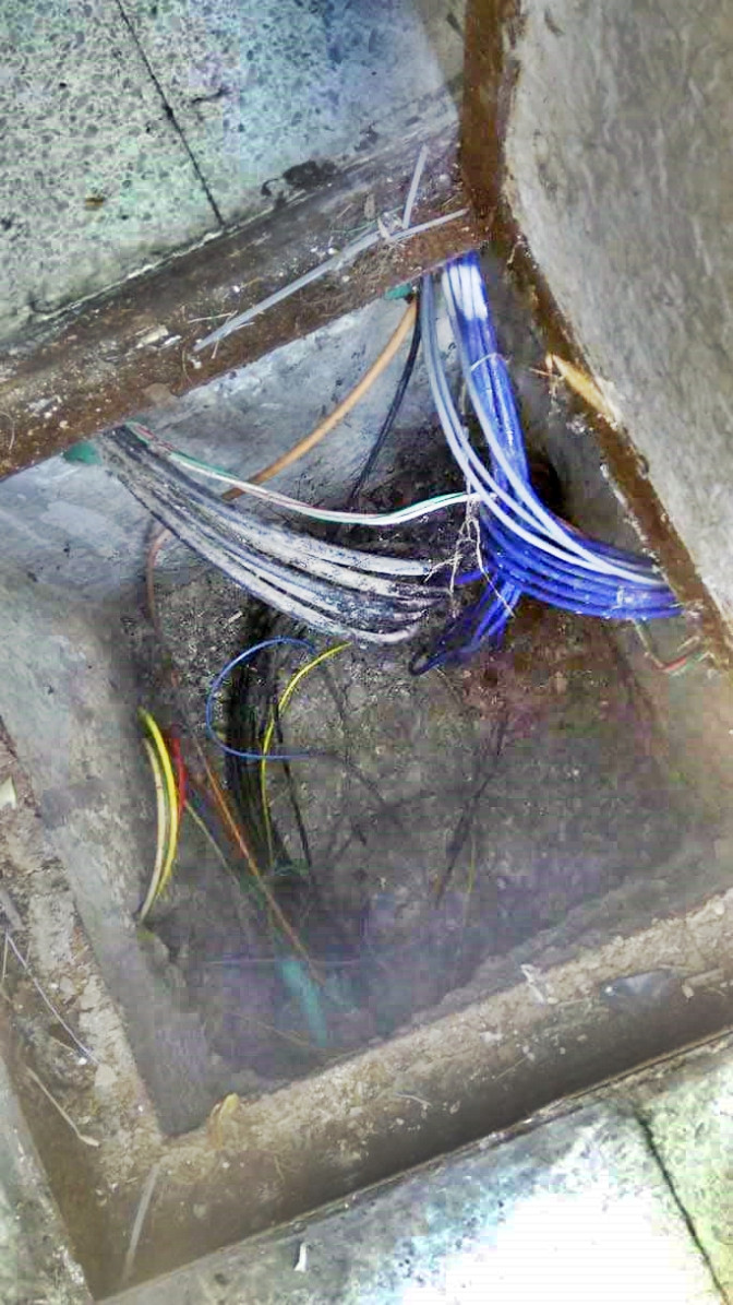 28-Caja-CS274-11-10.jpg