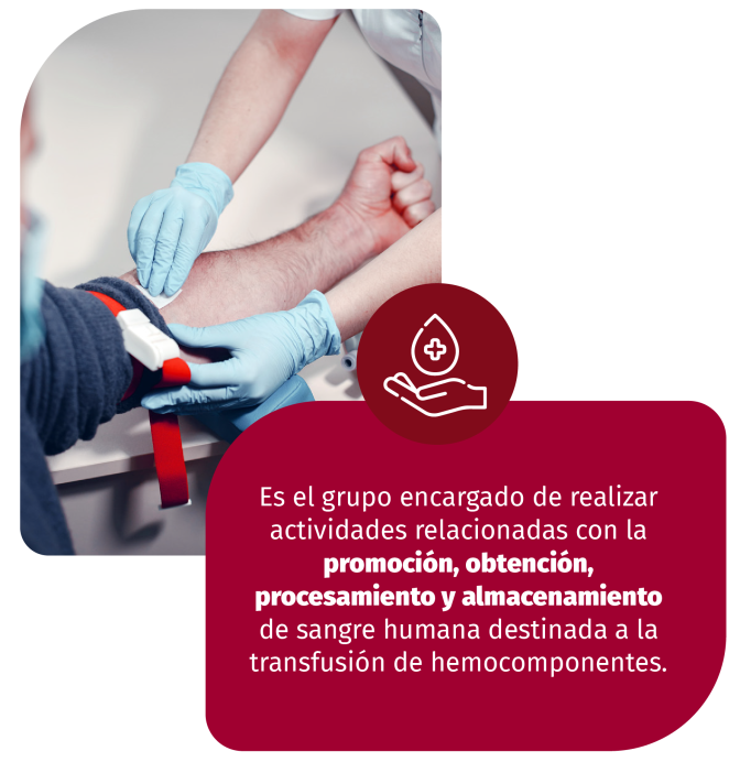 IMAGEN1.png