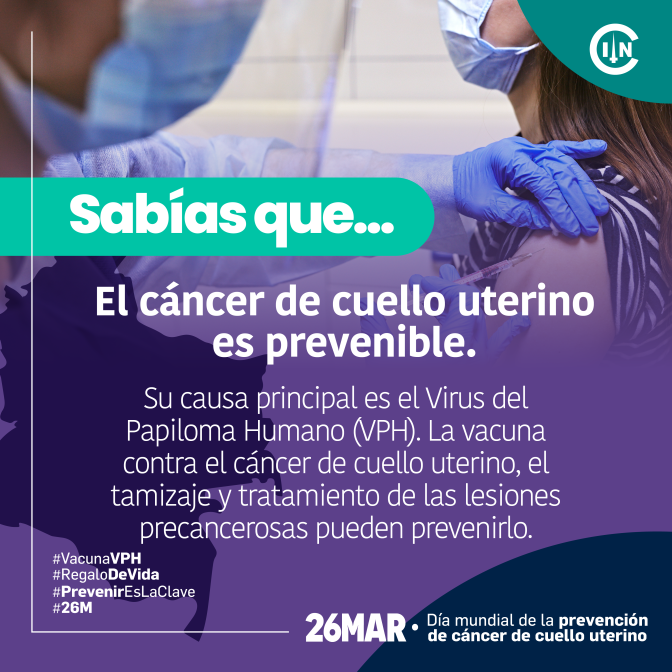 Redes-VPH-2x.png