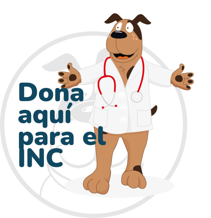Donacio-n2025.jpg