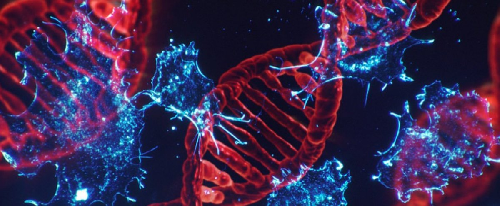 Grupo de Investigación en Biología del Cáncer - GIBC