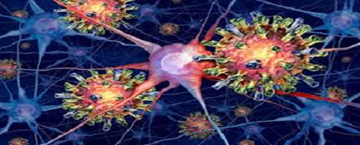 Epidemiología molecular del Cáncer