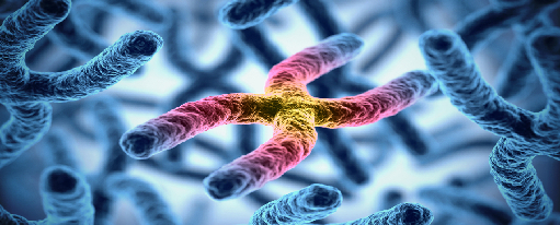Epigenética y Cáncer