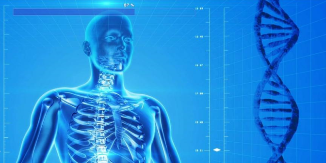 Radiobiología Traslacional y Cáncer